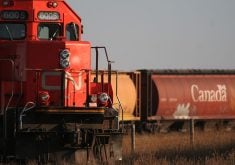 CN Rail says it will meet overall grain haul capacity this grain year, but at times of peak demand it might not.  |  Mike Raine photo