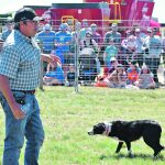 Jared Epp shows a crowd at the recent Ag in Motion farm show how easily he can move sheep with his Border Collies. | Braedyn Wozniak photo