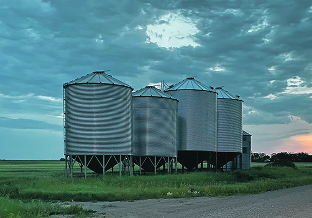 Good bins can help keep a harvested crop in as good a shape as possible.  |  File photo