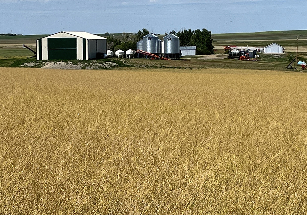 It's a shame that consumers, internationally as well as domestically, don't take more time to understand where their food comes from and how it's produced until a supply issue emerges. | Screencap via Twitter/@KevinHursh1