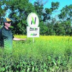 Scott Anderson, manager of field research for Nutrien Ag Solutions, stands in a crop plot as he talks to farmers at last month’s Ag in Motion farm show near Langham, Sask. Crop plots help shed light on the progress being made by agricultural researchers. | William DeKay photo