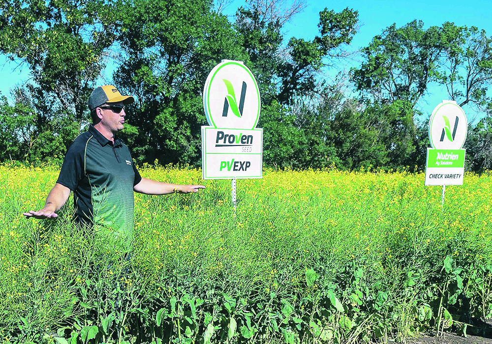 Scott Anderson, manager of field research for Nutrien Ag Solutions, stands in a crop plot as he talks to farmers at last month’s Ag in Motion farm show near Langham, Sask. Crop plots help shed light on the progress being made by agricultural researchers.  |  William DeKay photo