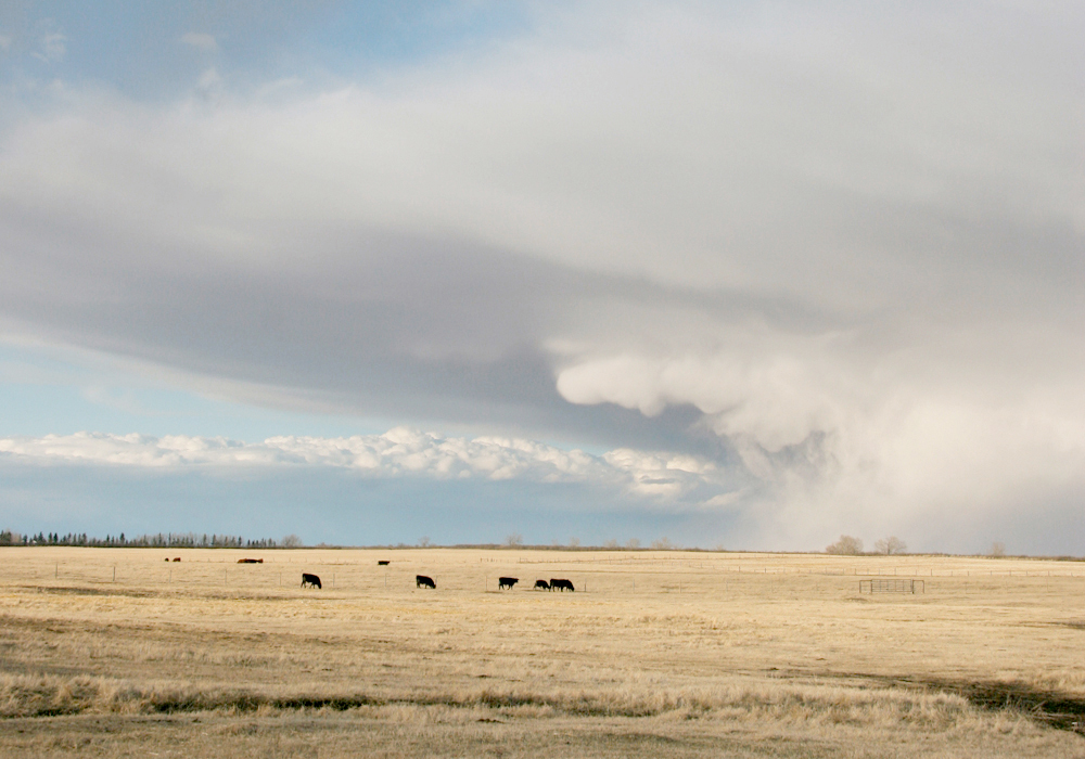 The five-year initiative was recently launched by Western University. Although it plans to expand the project next year across Canada, it started this year by studying Alberta’s hailstorm alley, a region near the province’s foothills that roughly runs from Whitecourt south to High River near Calgary. | File photo