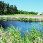The author refers to one speaker, who said that farmers could sequester enough carbon to solve the climate crisis by restoring agricultural soils, protecting and rebuilding wetlands, and working to protect and restore natural vegetation such as forests and grasslands. | File photo
