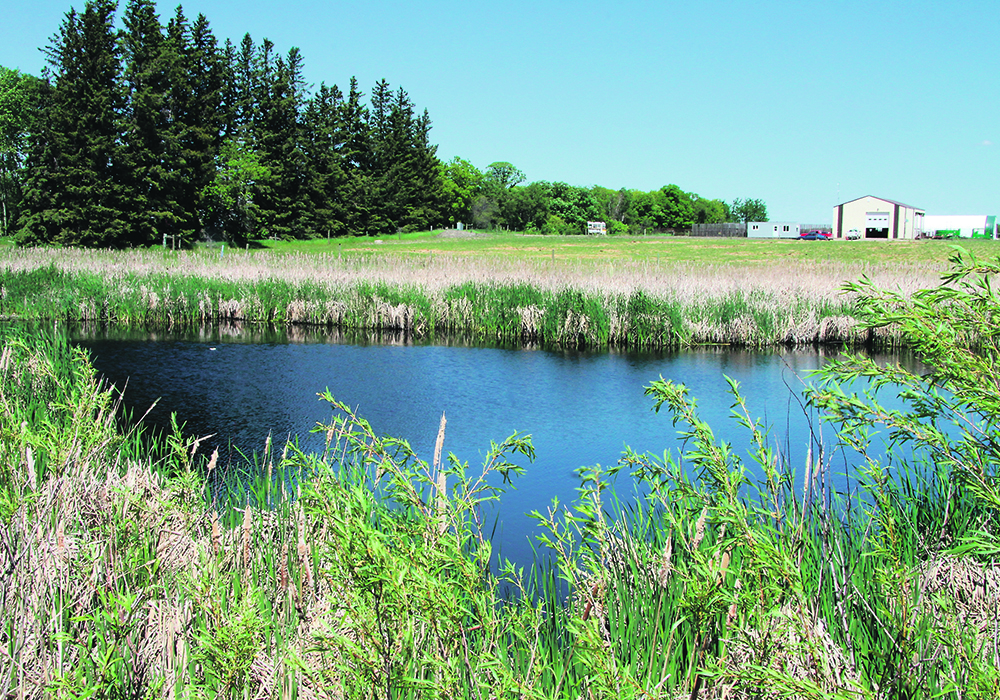 The author refers to one speaker, who said that farmers could sequester enough carbon to solve the climate crisis by restoring agricultural soils, protecting and rebuilding wetlands, and working to protect and restore natural vegetation such as forests and grasslands.  |  File photo