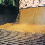 Argentina is still exporting agricultural commodities, but farmers’ soybean deliveries are down an estimated 10 to 15 percent, which is enough to disrupt the pace of crush. | Reuters/Agustin Marcarian photo