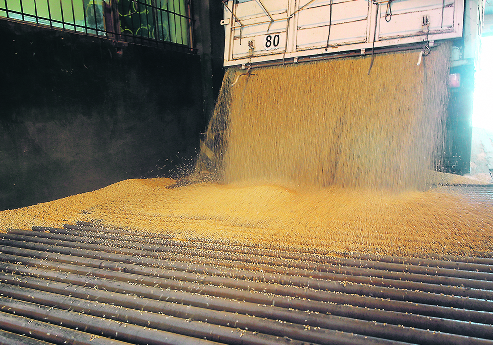 Argentina is still exporting agricultural commodities, but farmers’ soybean deliveries are down an estimated 10 to 15 percent, which is enough to disrupt the pace of crush. | Reuters/Agustin Marcarian photo
