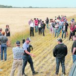 Matt Enns discusses his experience growing different malt barley varieties on his farm near Rosthern, Sask. In 2014, Enns and four other people established Maker’s Crafted Malts, Saskatchewan’s only craft malting operation, to serve the local craft brewing and distilling markets. | Robin Booker photo