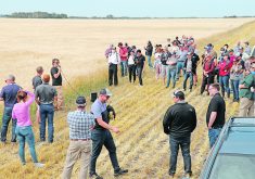 Matt Enns discusses his experience growing different malt barley varieties on his farm near Rosthern, Sask. In 2014, Enns and four other people established Maker’s Crafted Malts, Saskatchewan’s only craft malting operation, to serve the local craft brewing and distilling markets. | Robin Booker photo