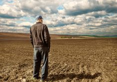 The traditional farm business model doesn’t require us to change. It doesn’t require us to entertain or implement new ideas, new growing practices, new ideologies. | Getty Images