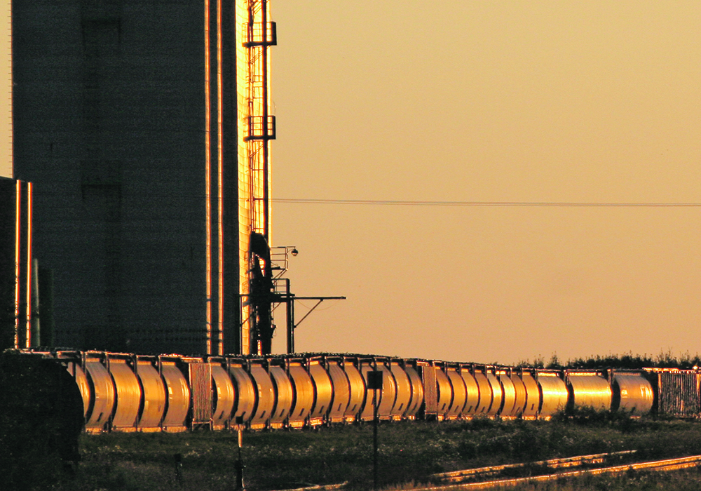 The authors urge producers to insist that the Canadian Grain Commission become an active on-site presence in country elevators, supervising grades, dockage and weight, and certifying not only scales, but all instruments.  |  File photo