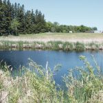 Water Security Agency minister Jeremy Cockrill said the government received multiple reports from farmers last week that federal vehicles were on their land. | File photo