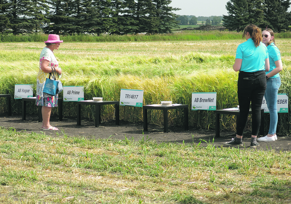Crop plots were among the exhibits featured at AgSmart on the Olds College Smart Farm.  |  Doug Ferguson photo
