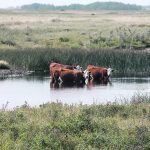 Farmers question why federal employees were testing dugout water last week in Saskatchewan. | File photo