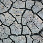 A recent study found that unpredictable climate variables including heat, drought and flood will be responsible for substantial impacts on crop growth, with the rise in average temperatures contributing to declines in soil moisture and threats to soil health. | File photo