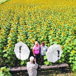 Karen and Tony Legault pose for a photo Aug. 24 on their Paradise Hill Farm near Nanton, Alta. | Mike Sturk photo