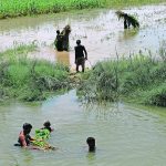 Farmers work in a flooded field, following rains and floods during the monsoons in Mehar, Pakistan. | Reuters/Akhtar Soomro photo