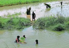 Farmers work in a flooded field, following rains and floods during the monsoons in Mehar, Pakistan.  |  Reuters/Akhtar Soomro photo