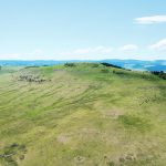 This portion of a 1,600-acre piece of land in Alberta’s Porcupine Hills will become part of an unbroken 4,700-acre tract now protected under conservation easements. | Brent Calver/Nature Conservancy of Canada photo