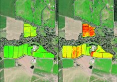 The NDVI image on the left shows where cattle have been congregating, places that should be re-seeded and other factors less apparent when walking in pastures. The red edge spectra image on the right gives better biomass detail. Red is either bare ground or brown plant material. That’s what the satellite sees instead of chlorophyll. Edges are not as smooth as they are in the NDVI. In this shot, red and green indicate better vegetation.  |  Organic Valley Co-op