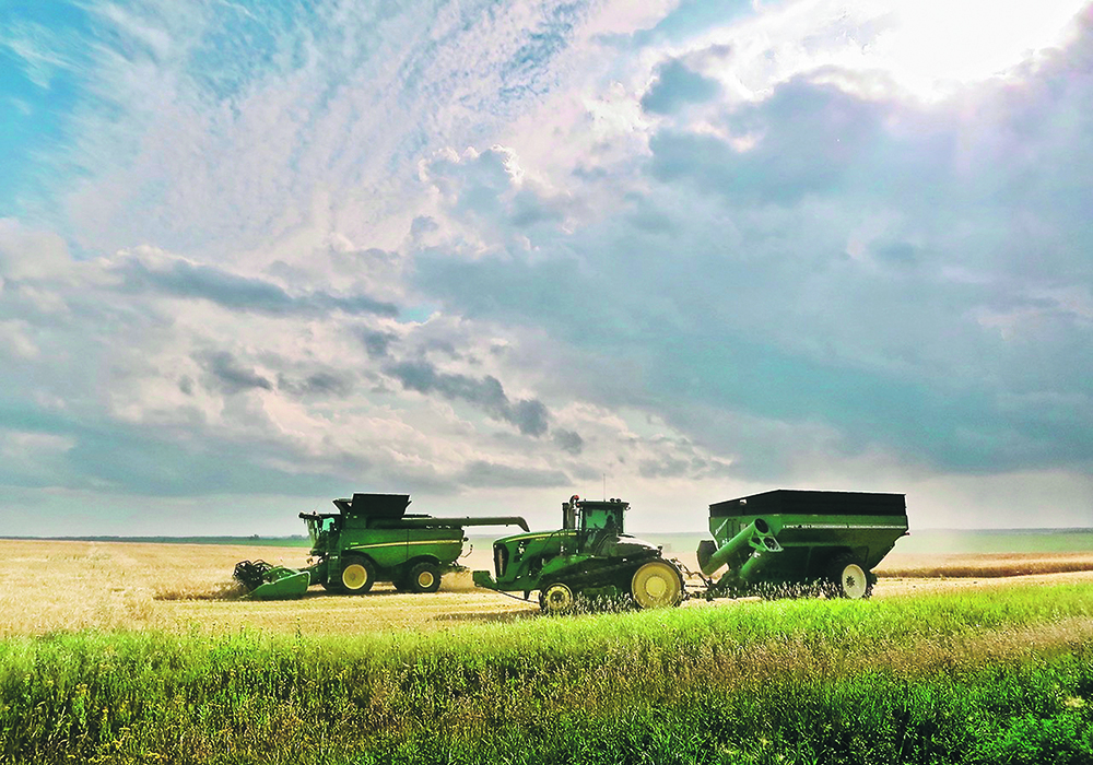 The Rosebank Colony harvests a barley field near Deerwood, Man. Canada has placed heavy reliance on the Chinese market for its barley exports.  |  Jeannette Greaves photo