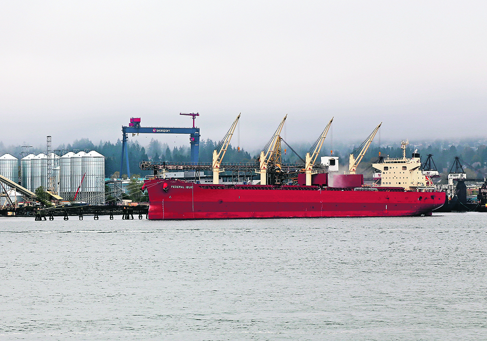 Canada has shelved its WTO canola complaint against China. The appellant process hasn’t operated for several years and the countries may meet to work out the disagreement instead.  |  Robin Booker photo