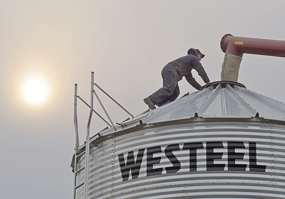 “Growers were gun-shy after some of their experiences last year,” said Mike Jubinville of MarketsFarm. | File photo