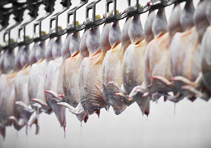 In Canada, the federal government has recognized the need for automation in the meat processing industry. | Getty Images
