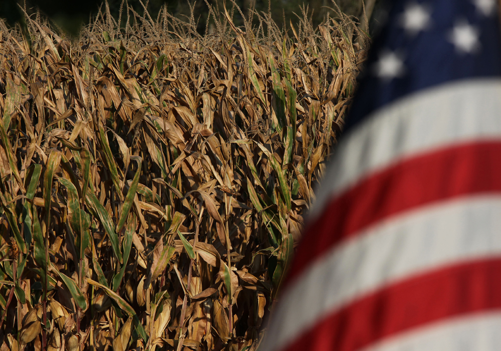 It’s very rare to find four academics — one from a corn state land grant university, three from a leading university in the leading corn-producing state — raising objections to the biofuel and its byproducts that will use one out of every three bushels of corn grown in the United States this year. | File photo