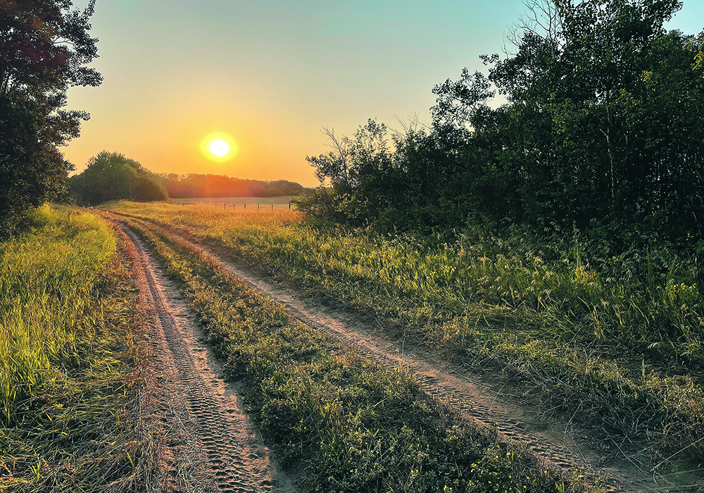 Saskatchewan’s Farmland Security Board tracks purchases of land by institutionalized investors, but that’s not the case in Alberta.  |  Brian Cross photo