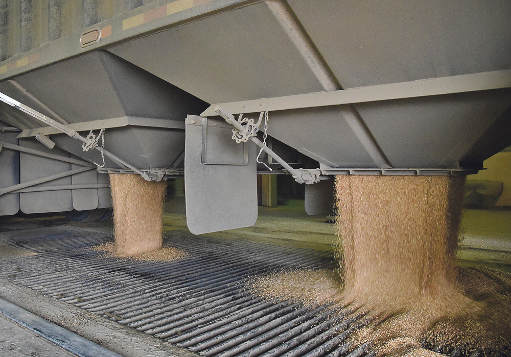 According to the Grain Monitoring Program, managed by Edmonton-based Quorum Corp., producer deliveries to country elevators in Week 5 of the 2022-23 crop year exceeded 1.5 million tonnes. | File photo