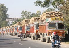 India accounted for 41 percent of total global exports of rice in 2021, larger than the next four exporters combined. | File photo