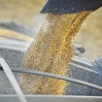 Farmers in Canada have a great deal of choice over how and when they’re going to sell their crops. It might often seem to be a set of bad choices or risky choices, but a farmer here can actually have a marketing plan based upon financial and market analysis. | File photo