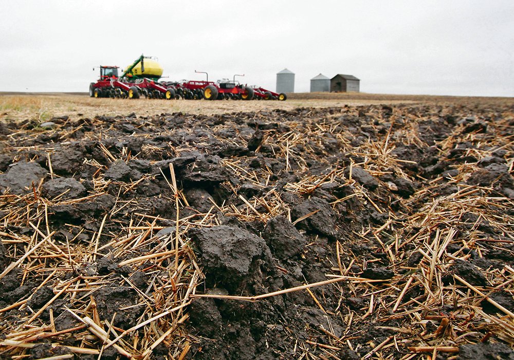 "As part of the study, the committee will investigate ways to improve soil-health strategies, help Canadian forestry and agricultural producers become leaders in sustainability and boost the industry's economic growth," says a Senate news release, which promotes the beginning of the soil study. | File photo