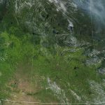 Satellite-based imagery paints rosier picture than an in-field survey. | Screencap via earthobservatory.nasa.gov