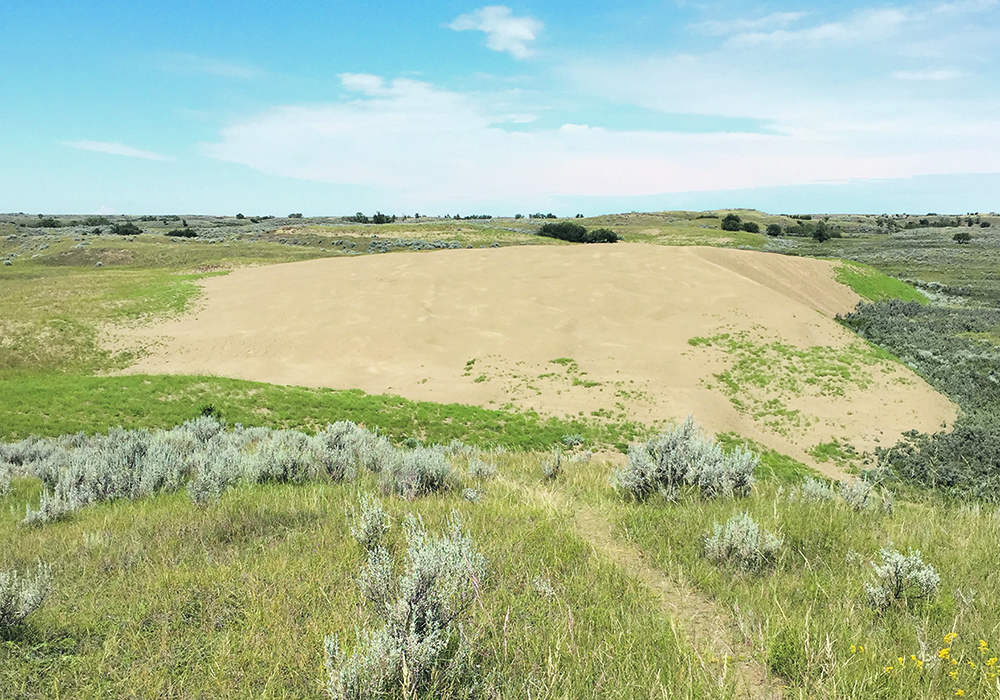 The author argues that the Saskatchewan government, lease holders and the public need to work out a better arrangement for accessing public land in the province.  |  File photo
