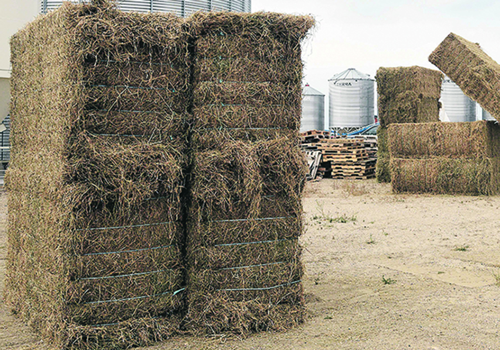 East Coast farmers are hoping things have improved enough on the Prairies this year to help them settle some of the accounts as the aid program’s sponsor, the Canadian Federation of Agriculture, wraps up the Hay West initiative. | File photo