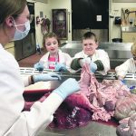 Elliot Vautier musters the courage to examine a pig’s intestines, while classmates Claire McNichol, left, and Lewis Assie from Ecole Canadienne-francaise in Saskatoon remain speechless. Mallory Norfield, a first-year veterinary student, instructed this part of the anatomy lab tour during Vetavision at the University of Saskatchewan’s Western College of Veterinary Medicine. | William DeKay photo