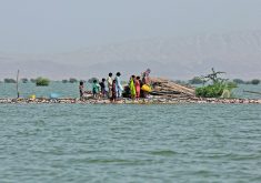 A woman and children take refuge along a damaged road amid flooding that has devastated Pakistan in recent weeks. The Canadian Foodgrains Bank has focused its efforts on helping people displaced from their homes by the flooding.  |  Reuters/Akhtar Soomro photo