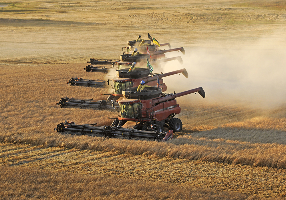 On paper supplies look very comfortable. The U.S. Department of Agriculture is now forecasting record world production. But dig a little deeper and you will find plenty of reasons for concern, said Masha Belikova, grains reporter with FastMarkets Agriculture. | File photo