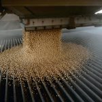 To satisfy that demand, the U.S. would need to stop exporting soybeans while planting 17.9 million additional acres of the crop, a 21 percent increase over 2022 levels. | Reuters photo