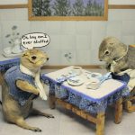 The Gopher Hole Museum comprises about 50 small three-dimensional displays featuring 75 Richardson’s ground squirrels. | Duane McCartney photo