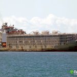 The ban had been well flagged and comes after a ship that left New Zealand shores with nearly 6,000 cows and 43 crew members capsized in 2020 off Japan. | Screencap via fleetmon.com
