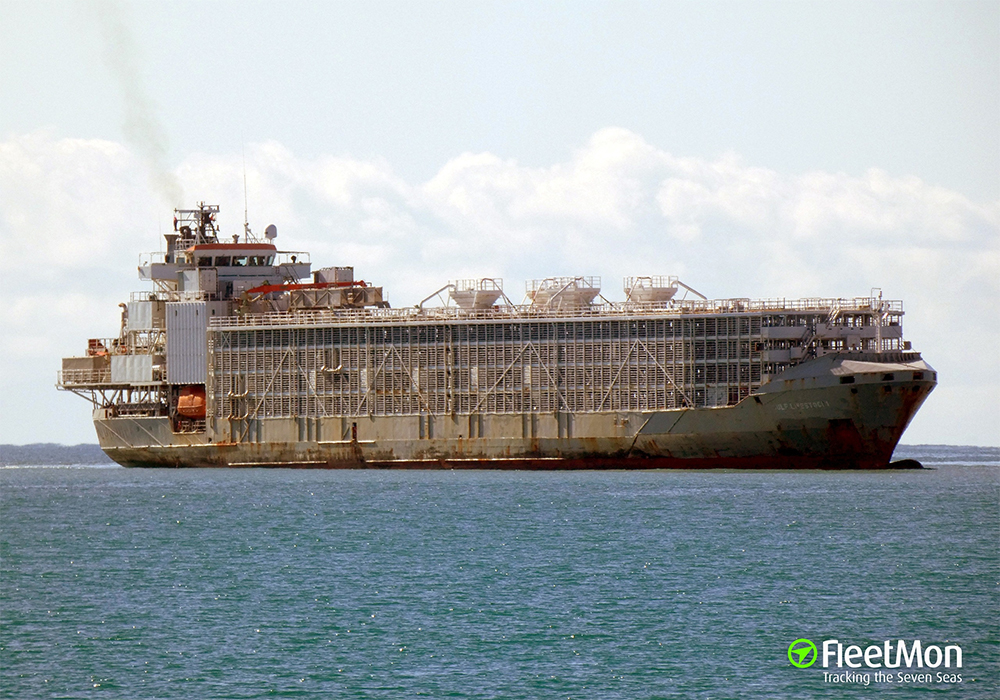 The ban had been well flagged and comes after a ship that left New Zealand shores with nearly 6,000 cows and 43 crew members capsized in 2020 off Japan. | Screencap via fleetmon.com