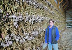 Kristin Graves of Fifth Gen Gardens stands beside a wall of garlic hanging in the farm shop. | Mary MacArthur photo