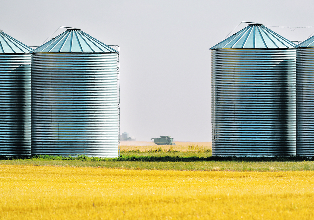 A number of grain thefts have occurred across the Prairies in recent years.  |  Mike Sturk Photo