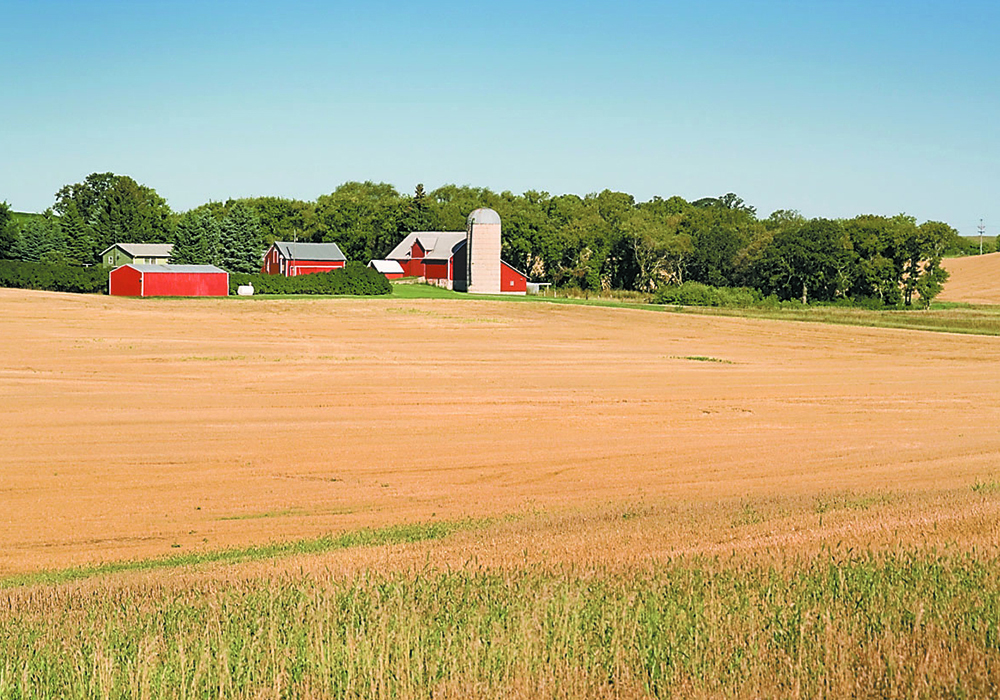 "Personally, I’m not yet ready to write the eulogy for the mid-sized grain farm." | File photo