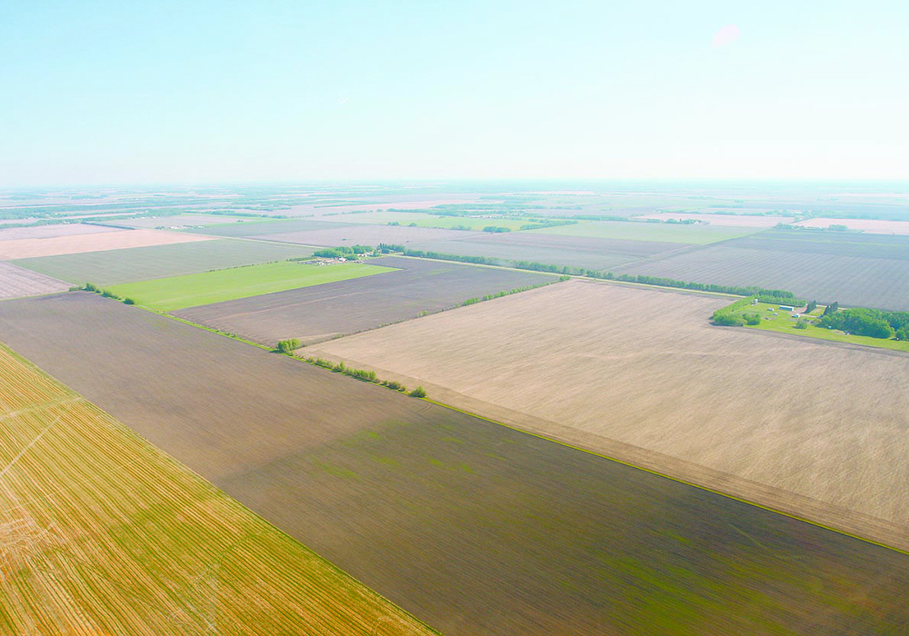Sask. growers insured a record 35.9 million acres, up from 28.3 million acres five years ago. | File photo