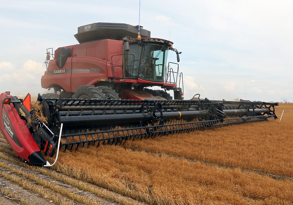 Marlene Boersch, managing partner of Mercantile Consulting Venture, said there is a lot of uncertainty about Canada’s lentil production. | File photo