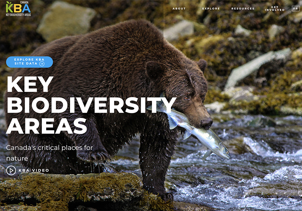 More than five dozen Key Biodiversity Areas have been listed nationally by a consortium of naturalist organizations, which includes Birds Canada, NatureServe Canada and the Wildlife Conservation Society Canada. | Screencap via kbacanada.org